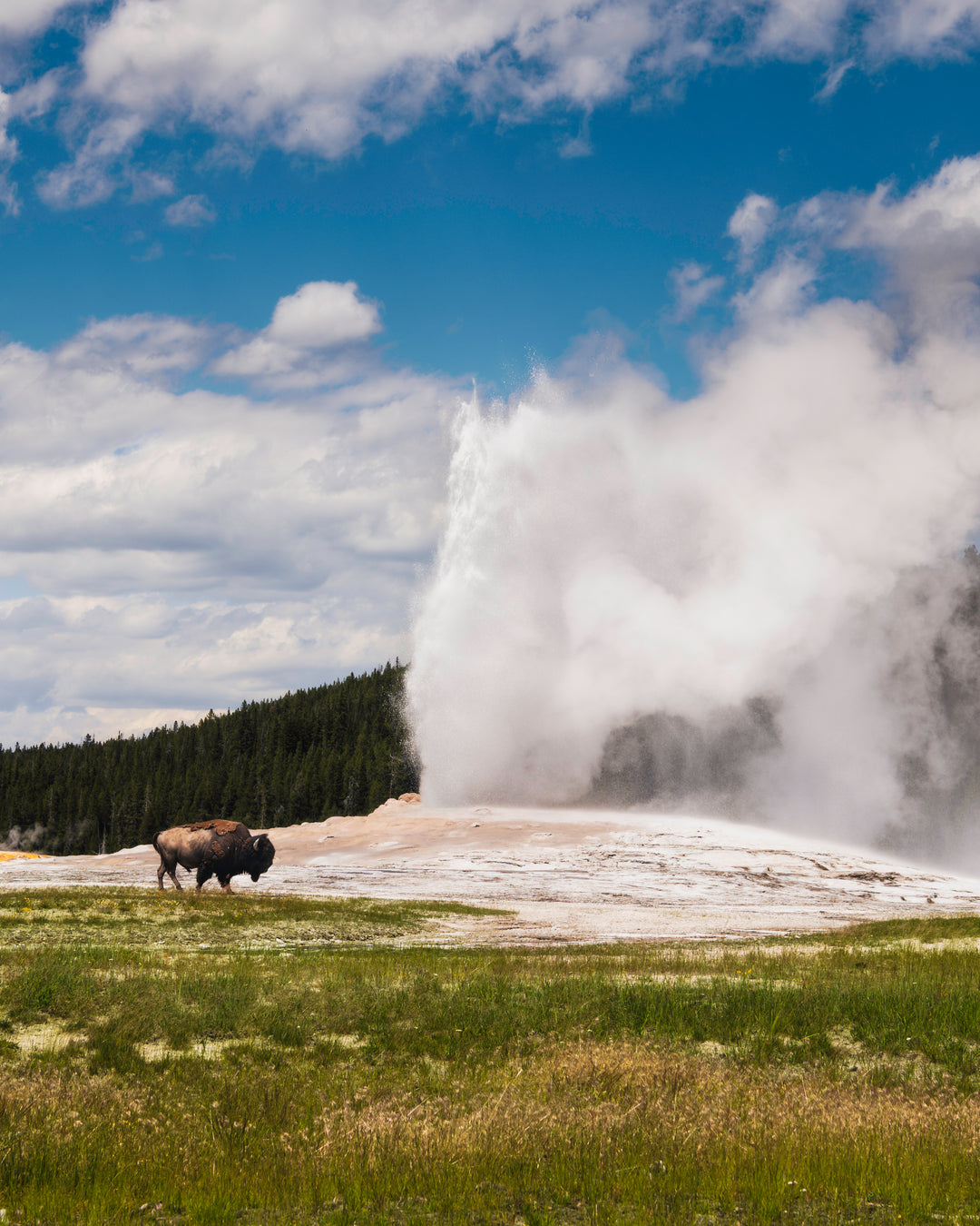 National Parks