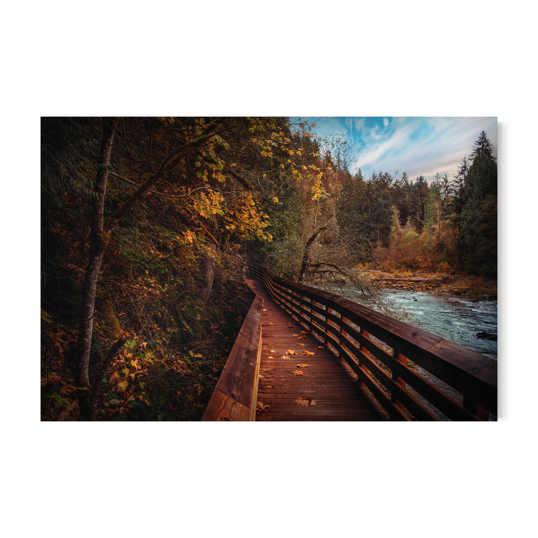 Autumn Forest Boardwalk | PNW Landscape Fine Art Print | Nature Wall Art Metal, Canvas, Paper, Acrylic Chris Fabregas Photography Wall Art print High-quality fine art photography print 