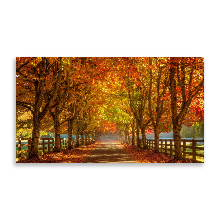 Chris Fabregas Fine Art Photography Digital Download Autumn Road Digital Art for Samsung Frame TV | Vibrant Fall Wall Art Wall Art print High-quality fine art photography print 