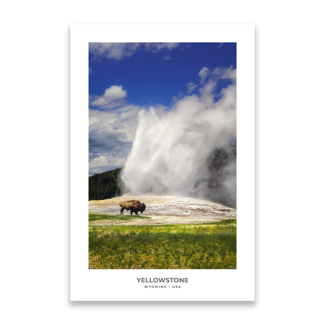 Chris Fabregas Fine Art Photography Digital Download Bison & Old Faithful – Yellowstone National Park Digital Download Wall Art print High-quality fine art photography print 