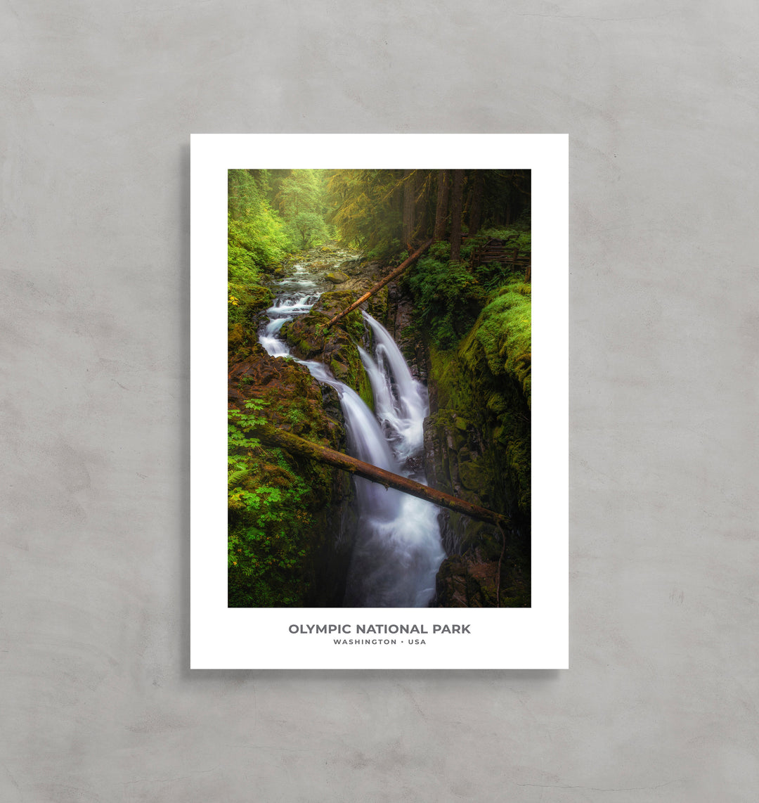 Chris Fabregas Fine Art Photography Digital Download Olympic National Park: Sol Duc Falls Digital Download, PNW Decor Wall Art print High-quality fine art photography print 