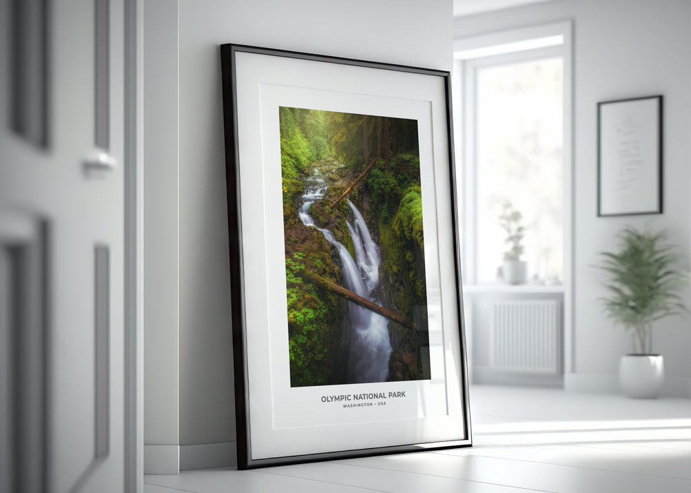 Chris Fabregas Fine Art Photography Digital Download Olympic National Park: Sol Duc Falls Digital Download, PNW Decor Wall Art print High-quality fine art photography print 