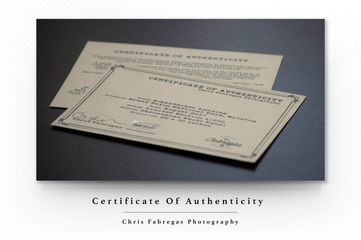 Chris Fabregas Fine Art Photography PIKE PLACE MARKET Wall Decor, Fine Art Print Wall Art print