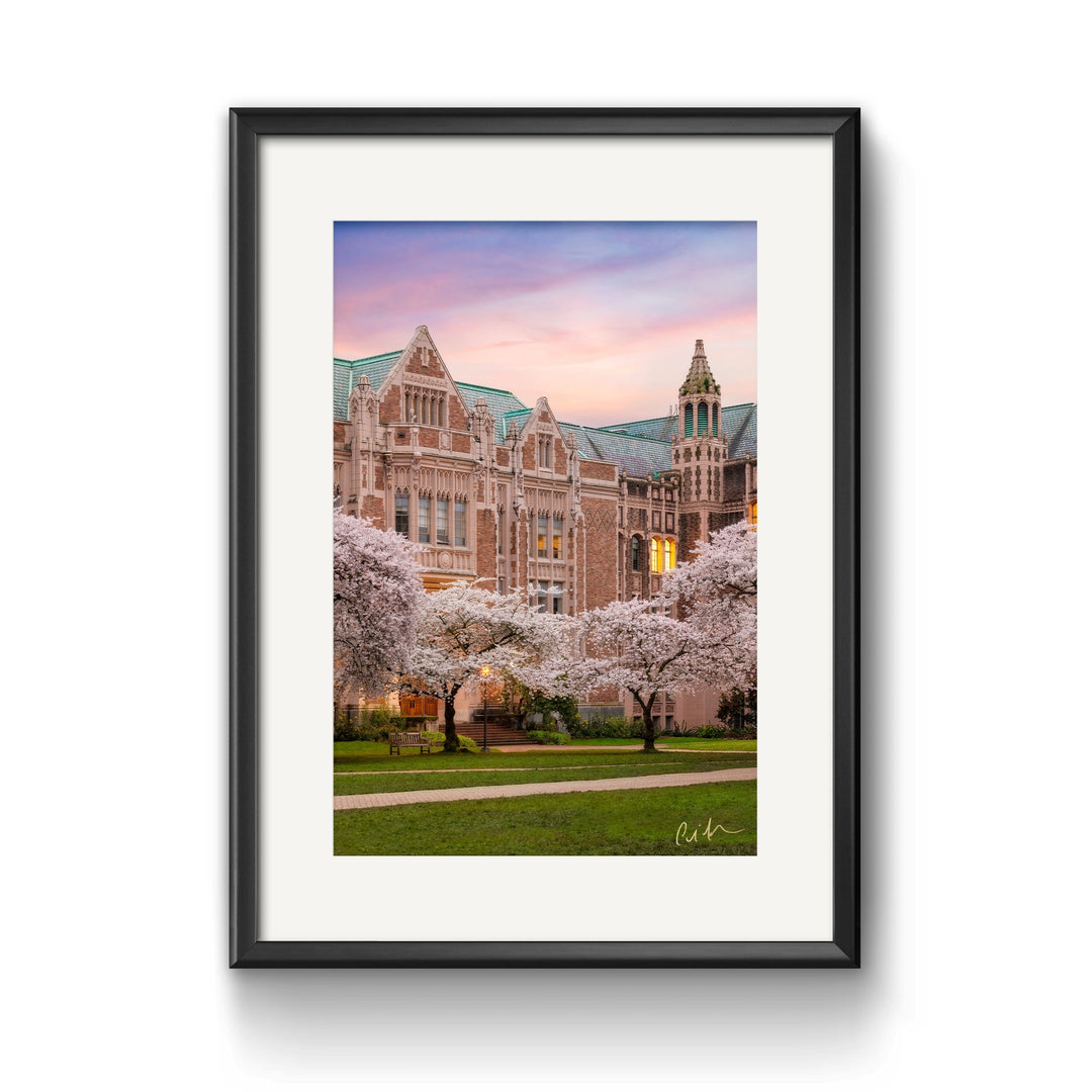 Chris Fabregas Photography Metal, Canvas, Paper UNIVERSITY OF WASHINGTON Cherry Blossoms, Fine Art print Wall Art print