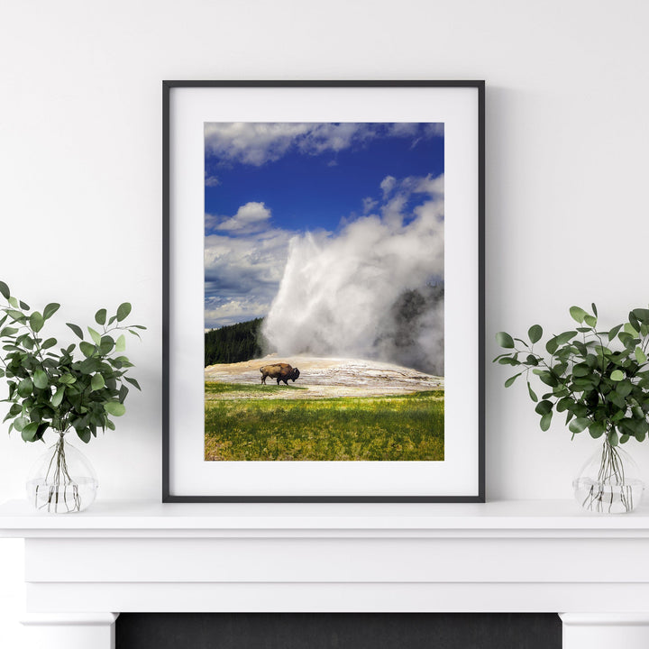 Chris Fabregas Photography Metal, Canvas, Paper YELLOWSTONE OLD FAITHFUL Bison Wall Art print