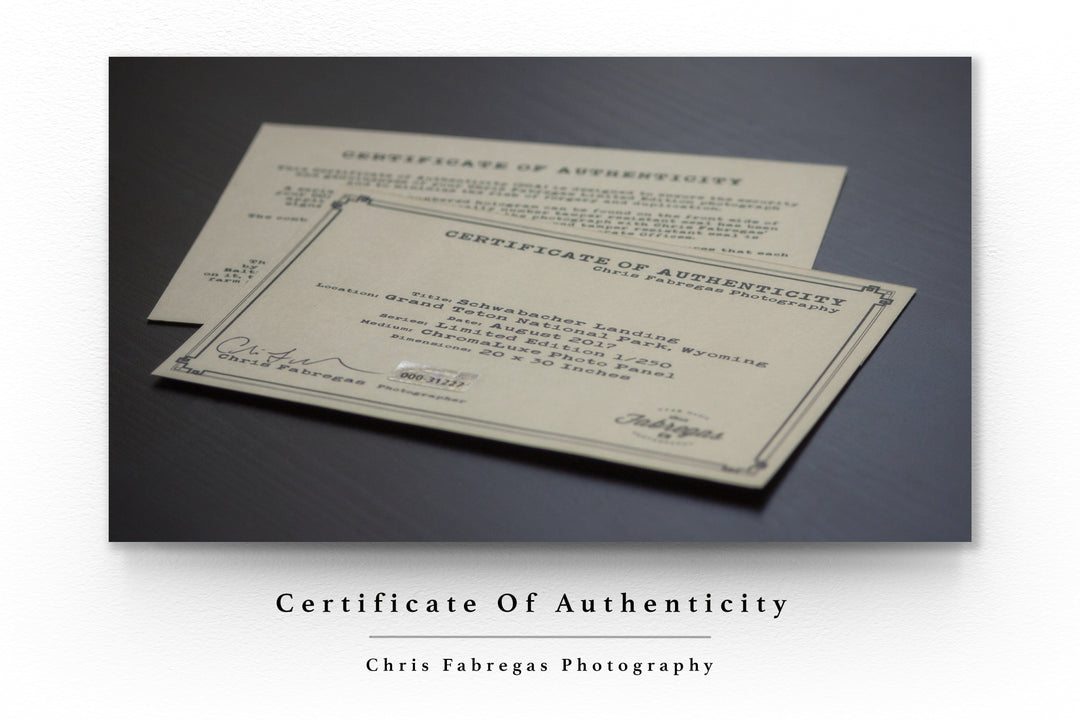 Chris Fabregas Photography Metal, Canvas, Paper Seattle Monorail Photographic Print Wall Art print