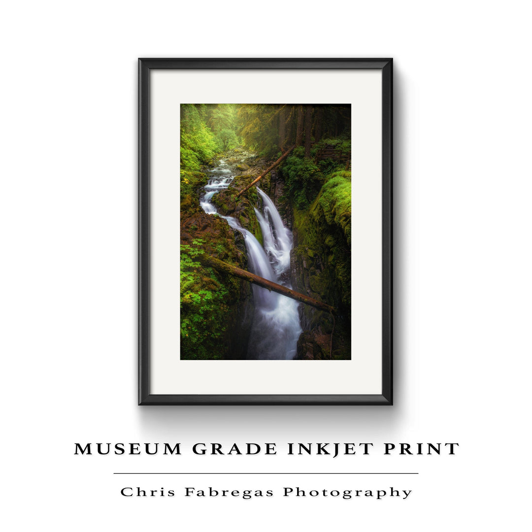 Chris Fabregas Photography Metal, Canvas, Paper Sol Duc Falls Photography Limited Edition Print Wall Art print