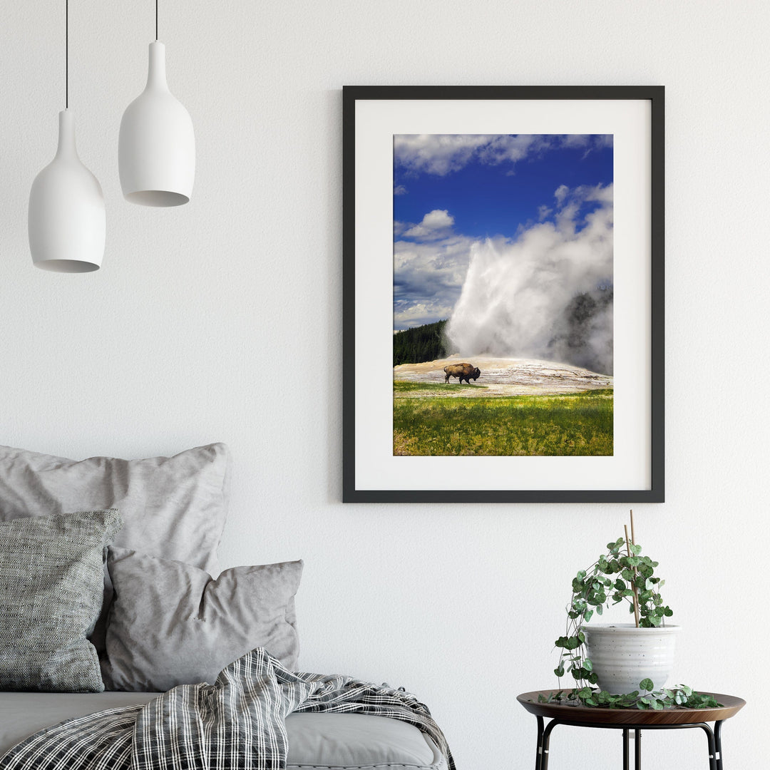 Chris Fabregas Photography Metal, Canvas, Paper YELLOWSTONE OLD FAITHFUL Bison Wall Art print